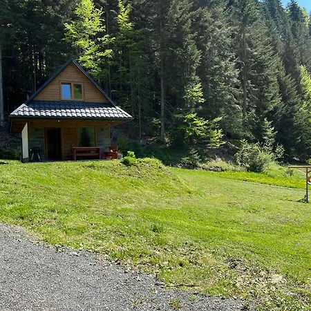 Lesne Zacisze Ochotnica Holiday home *