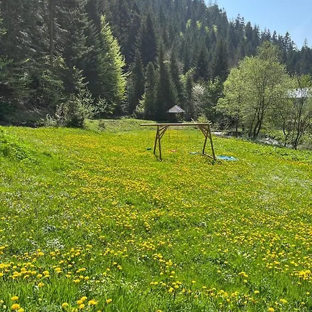 Lesne Zacisze Ochotnica Casa vacanze *