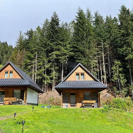 Lesne Zacisze Ochotnica